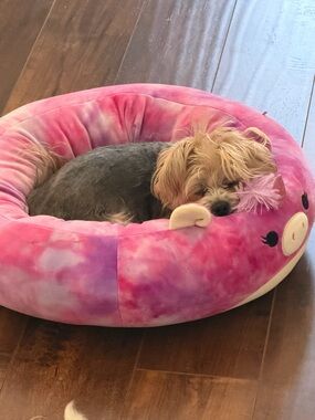 Meet your Posher, Gina